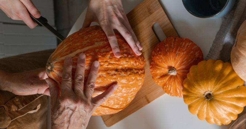 Pexels/cottonbro studio